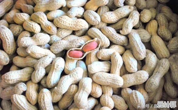 解密落花生:深入种植与加工过程,品味自然营养与健康美味 解密落花生:深入种植与加工过程,品味自然营养与健康美味