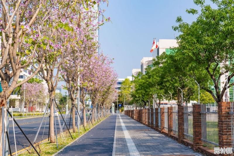 【QQ音乐网】畅享高清听觉盛宴，遨游多彩音乐海洋