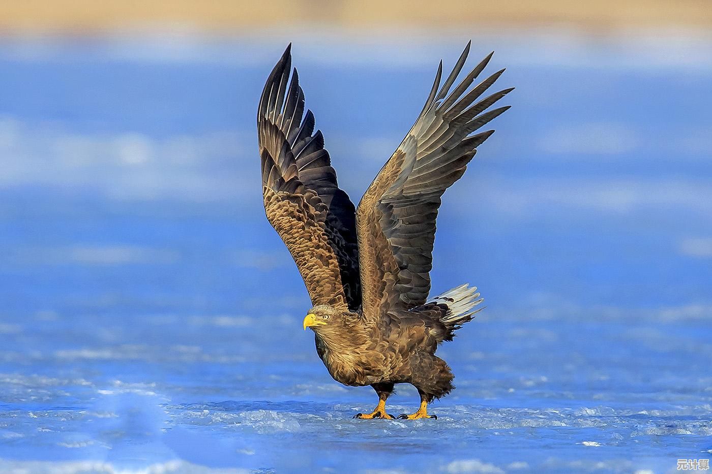 【QQ音乐网】畅享高清听觉盛宴，遨游多彩音乐海洋