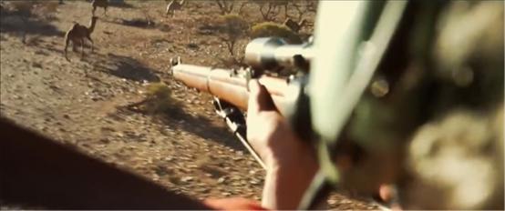 你还没体验过《瞄准骆驼》这款超刺激射击游戏的炫酷特效吗？