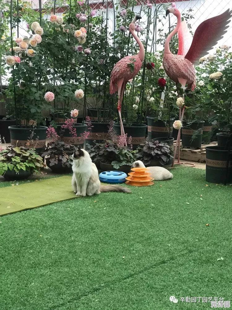 渴望在童话般的世界里养萌宠、种花园?我的休闲时光》手机版正是你的不二之选! 渴望在童话般的世界里养萌宠、种花园?我的休闲时光》手机版正是你的不二之选!