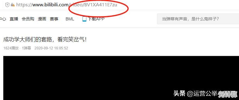 免费在线工具,一键高效下载网页视频,轻松保存精彩内容 免费在线工具,一键高效下载网页视频,轻松保存精彩内容