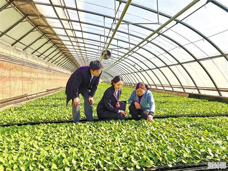 聚焦乡村振兴战略,山东农信以金融活水精准灌溉农村发展之路 聚焦乡村振兴战略,山东农信以金融活水精准灌溉农村发展之路