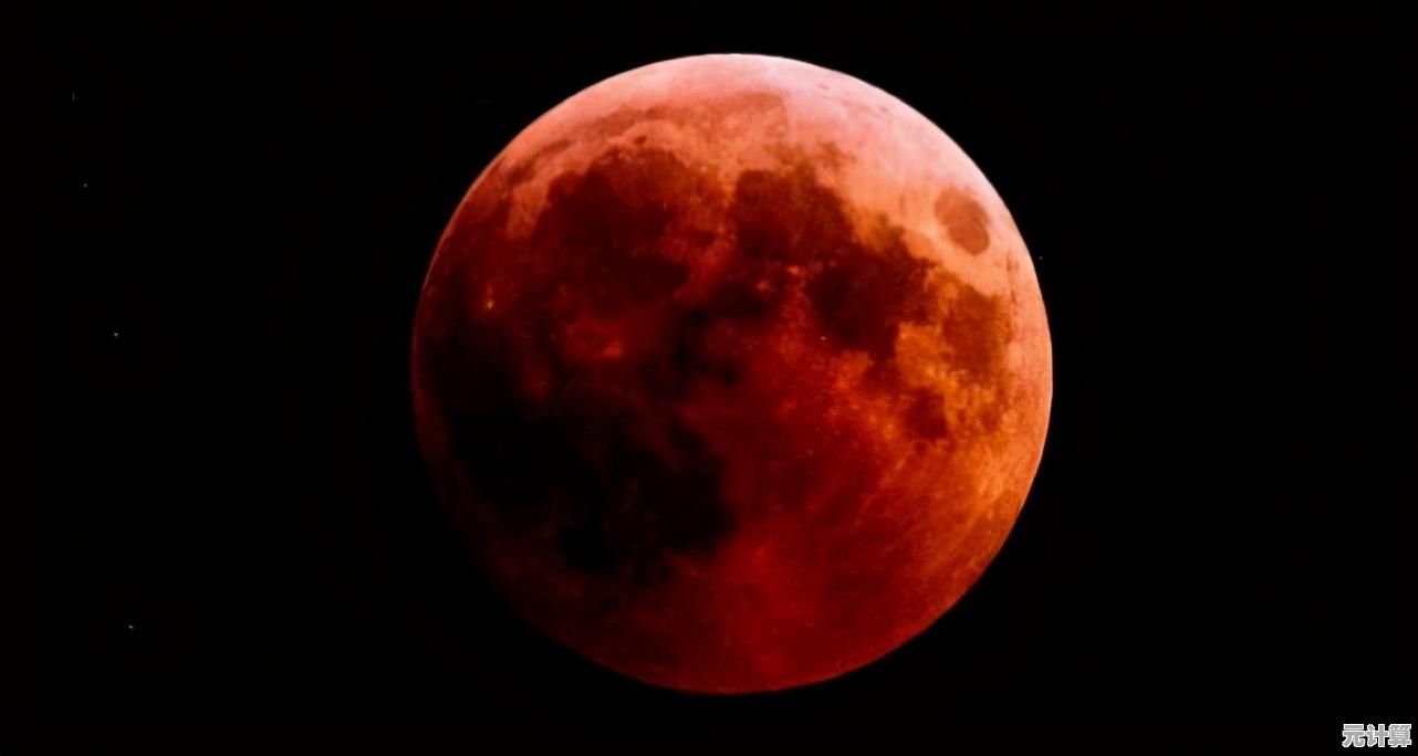 厌倦了千篇一律的RPG?何不试试《永远的维京星球》的精美卡通世界? 厌倦了千篇一律的RPG?何不试试《永远的维京星球》的精美卡通世界?