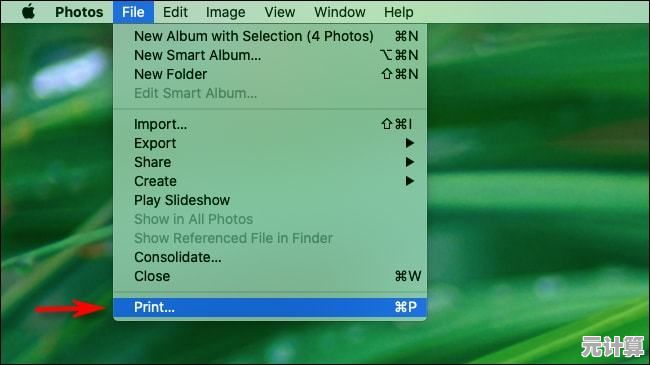 轻松掌握苹果序列号查询技巧,快速辨别设备真伪与来源 轻松掌握苹果序列号查询技巧,快速辨别设备真伪与来源