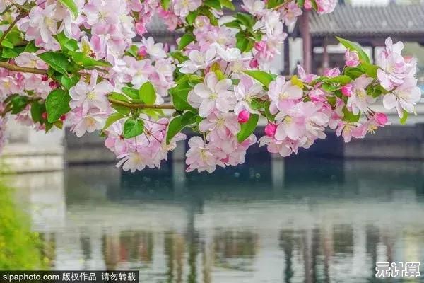 还在寻找浪漫邂逅？樱花恋爱手册》带你探索心动瞬间！
