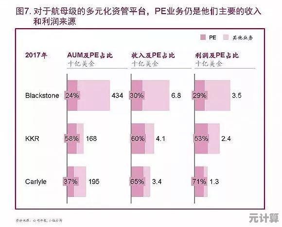 全面探讨PE的含义：从基础定义到实际应用解析