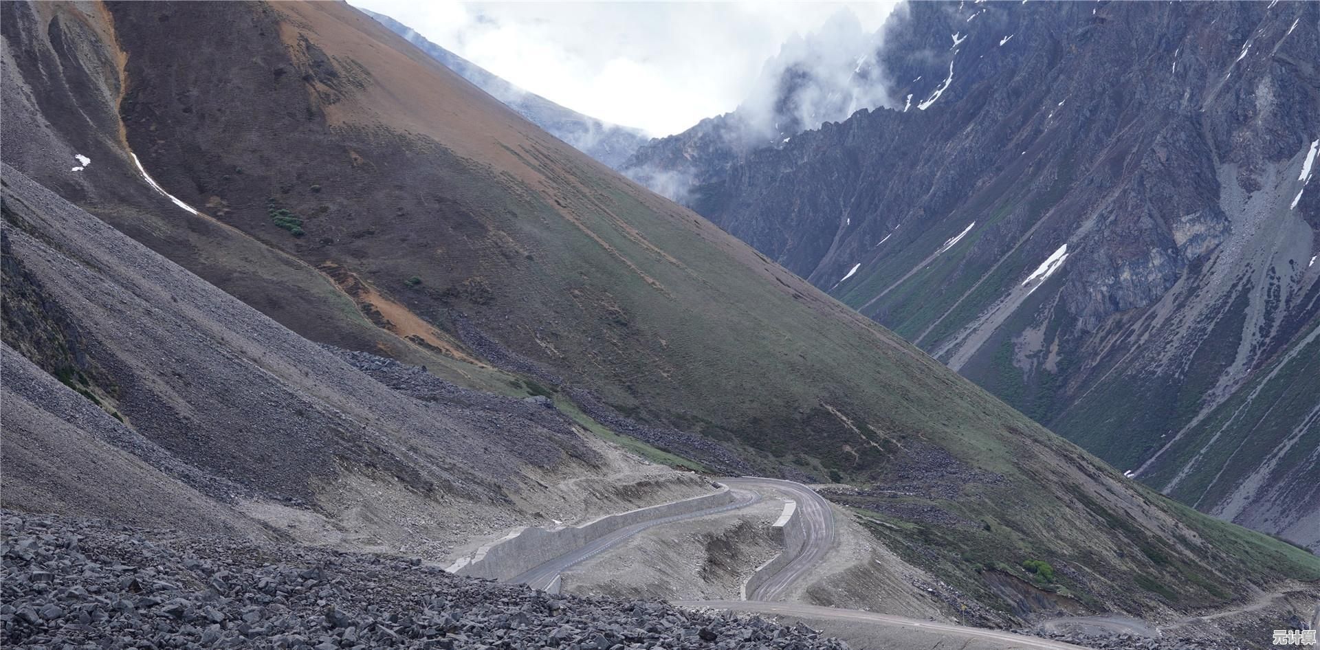 谁还没玩过这款超萌的多人对战游戏《丛林大作战》 谁还没玩过这款超萌的多人对战游戏《丛林大作战》