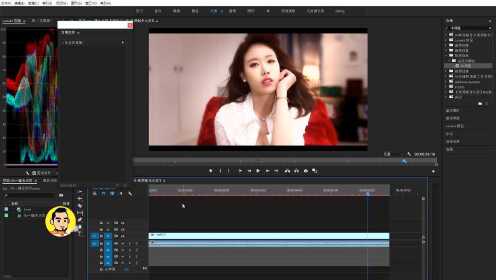 专业级视频去水印工具,让画面干净流畅无痕处理! 专业级视频去水印工具,让画面干净流畅无痕处理!