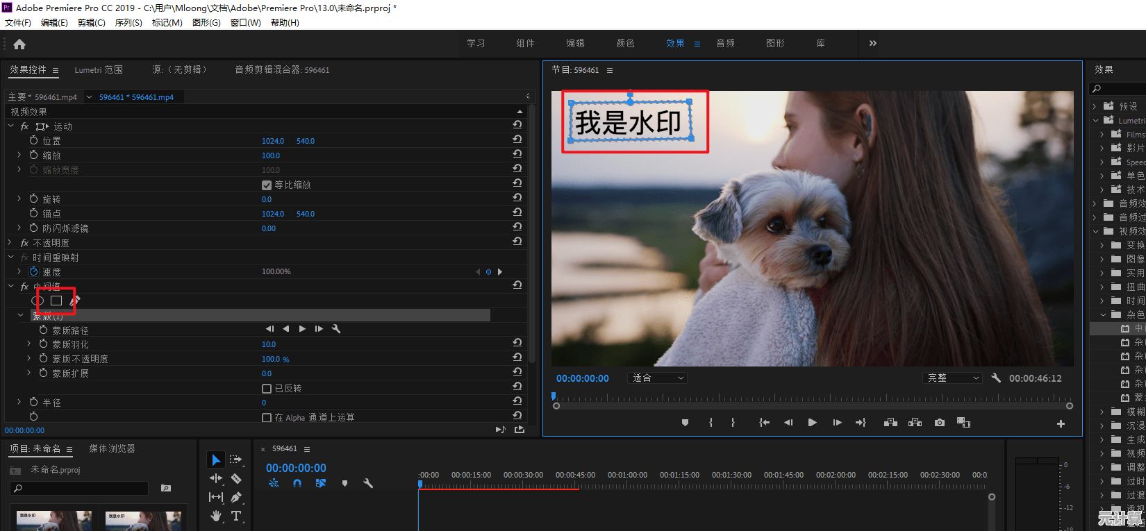专业级视频去水印工具,让画面干净流畅无痕处理! 专业级视频去水印工具,让画面干净流畅无痕处理!