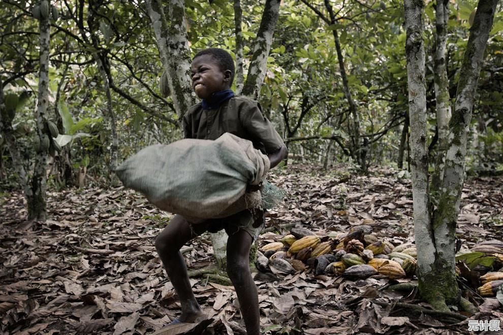 还在寻找一款轻松有趣的模拟经营游戏?可可谷农场冒险等你来挑战! 还在寻找一款轻松有趣的模拟经营游戏?可可谷农场冒险等你来挑战!