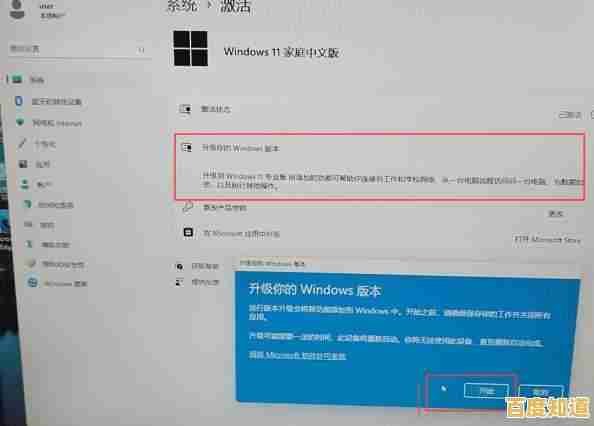Win11正式版最新版本号快速查询方法分享