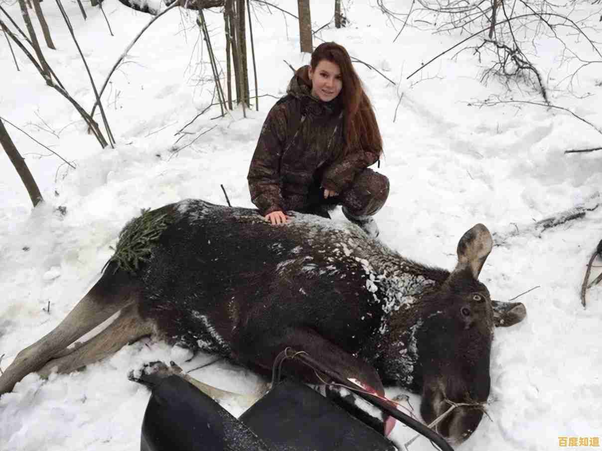 荒野猎杀挑战：探索自然法则，磨砺技艺，晋升传奇猎人殿堂！