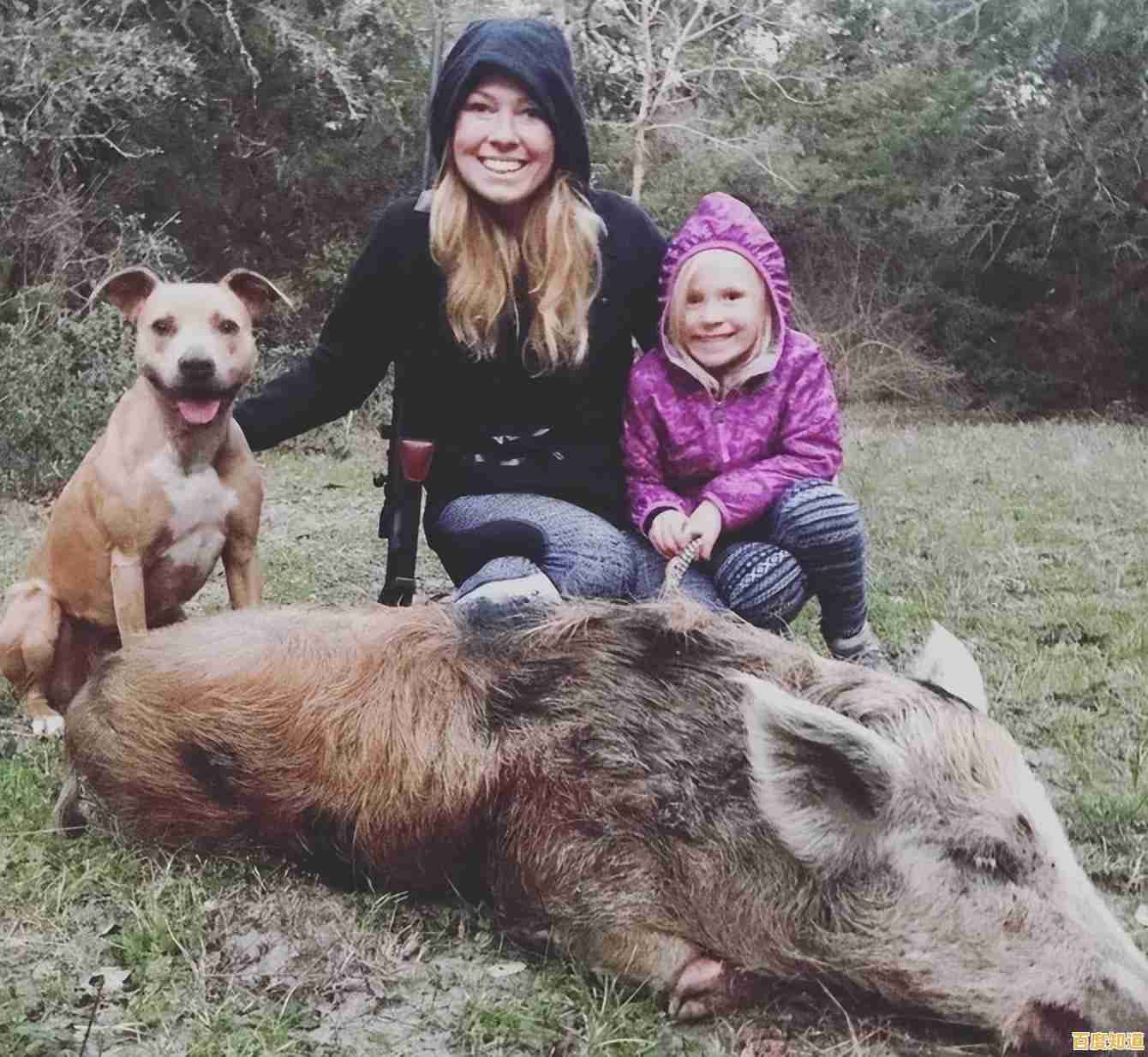 荒野猎杀挑战：探索自然法则，磨砺技艺，晋升传奇猎人殿堂！