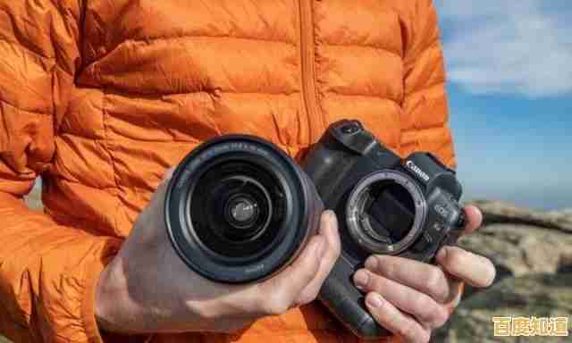 探索全画幅单反的强大性能,开启无限创意摄影新篇章 探索全画幅单反的强大性能,开启无限创意摄影新篇章