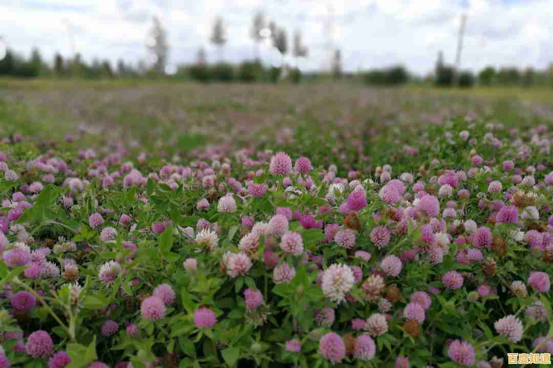 割草也能竞技？牧场割草模拟器》邀你征服对手赢金币！