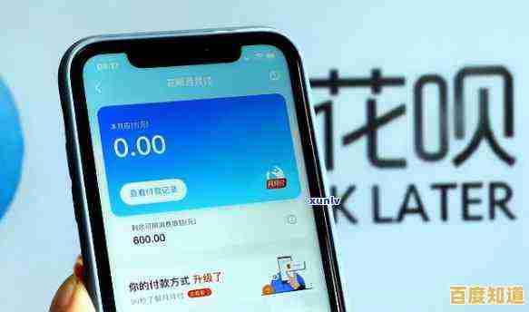 全面了解蚂蚁花呗还款方法：省时省心的操作指南