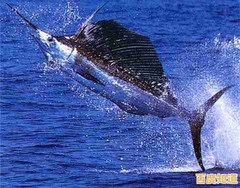 还在为宝宝寻找寓教于乐的游戏?宝宝钓鱼》让探索海洋变得超有趣! 还在为宝宝寻找寓教于乐的游戏?宝宝钓鱼》让探索海洋变得超有趣!