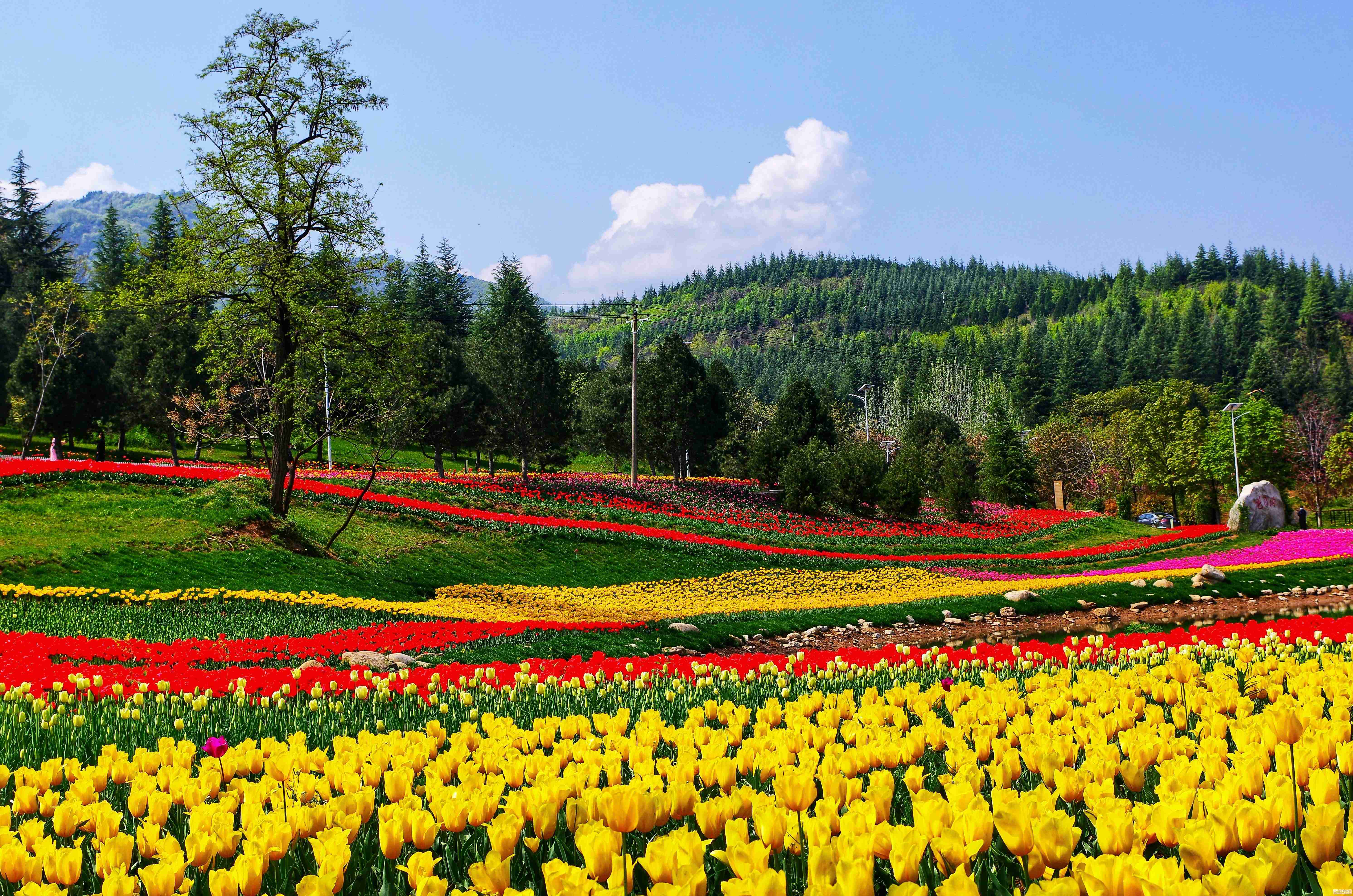 经典玩法+创新系统，植物大战僵尸生态版不来试试？