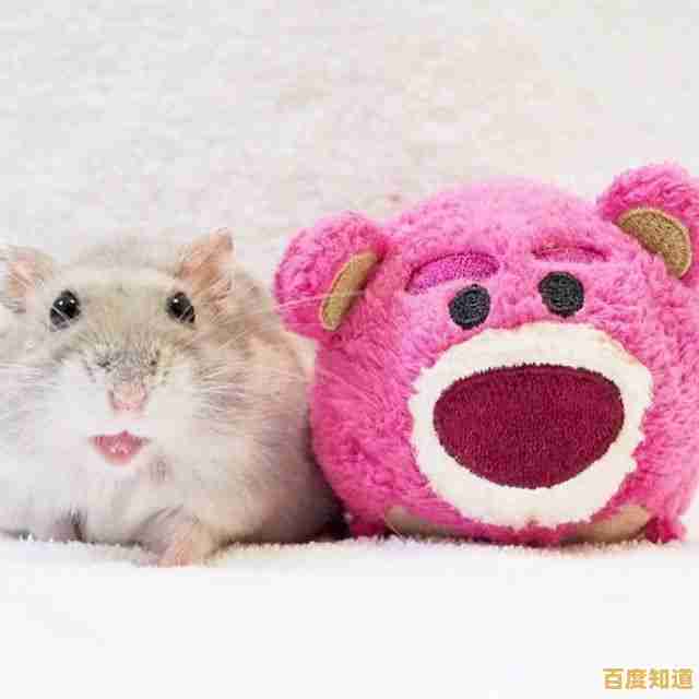 喜欢可爱仓鼠和模拟经营?鼠鼠商业街》满足你的所有需求! 喜欢可爱仓鼠和模拟经营?鼠鼠商业街》满足你的所有需求!