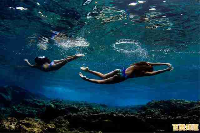 想体验深海奥秘与惊险？渔帆暗涌》带你开启独一无二的海洋冒险！