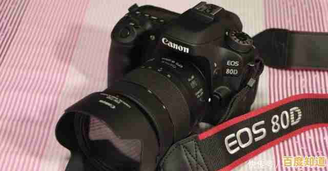 探索微单和单反的差异:摄影爱好者的器材选购指南 探索微单和单反的差异:摄影爱好者的器材选购指南