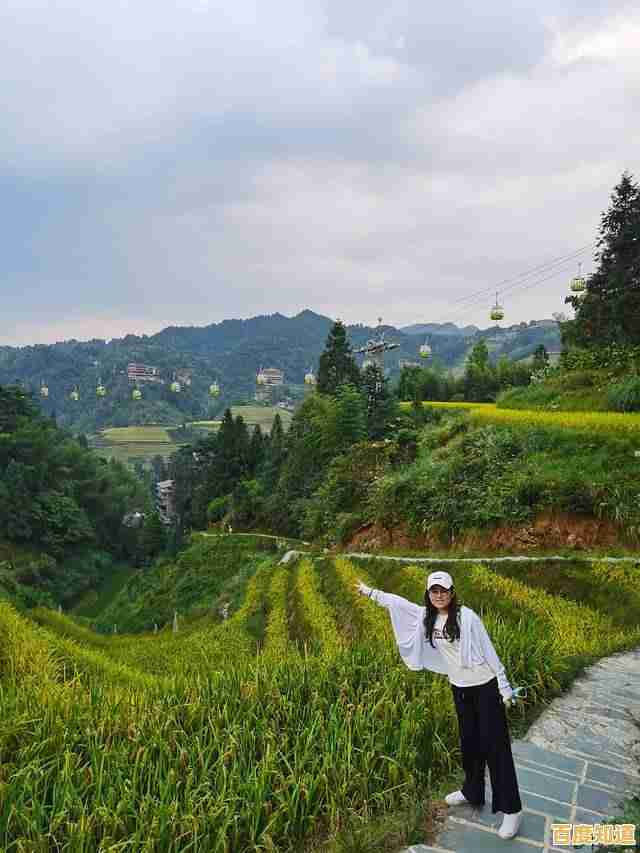 2022年最新版Intel核显性能天梯图正式发布，显卡性能一目了然