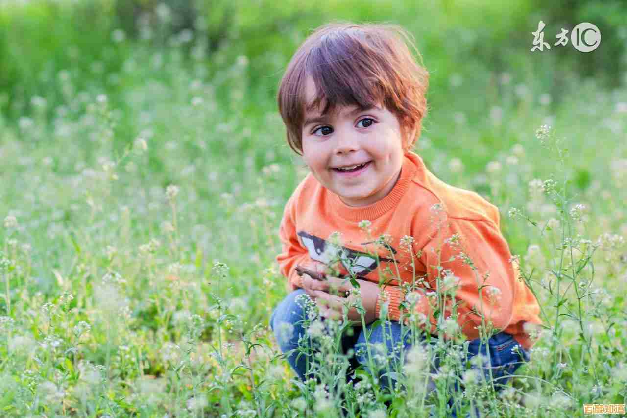 从幼年到生存大师,希望之村正版》的脑力挑战你敢接招吗?
