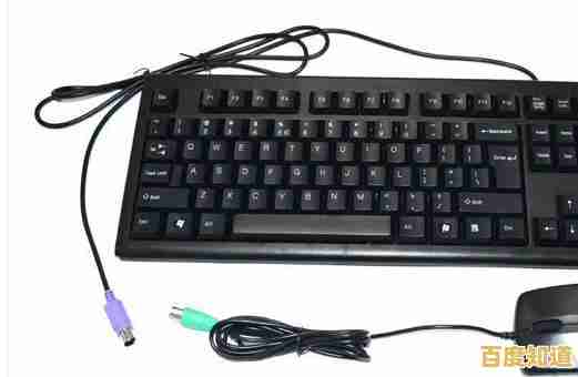 电脑系统重装后上不了网?详细解决方案与驱动修复指南