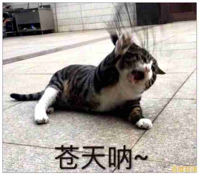 还在寻找休闲解压游戏?猫和老鼠的复古趣味玩法你岂能错过!