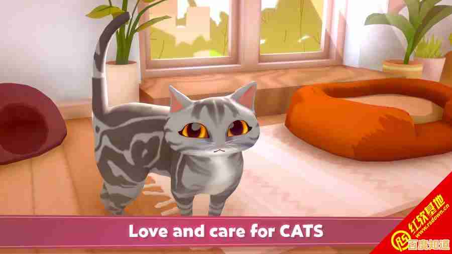 还在找休闲益智游戏？我的虚拟宠物猫》带你养猫交友两不误！