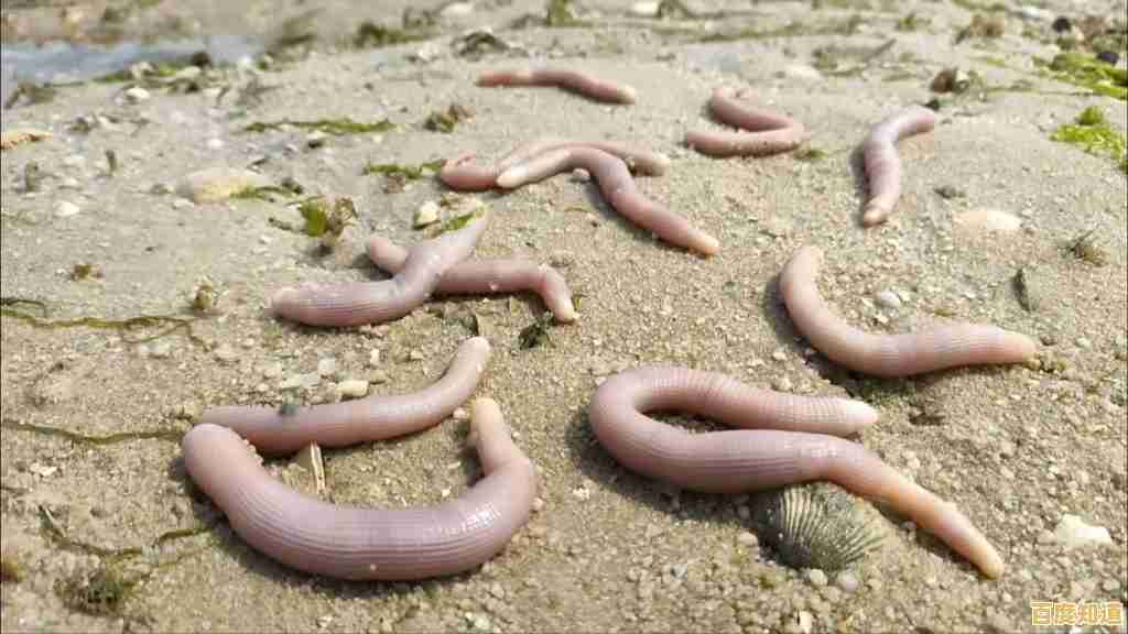 难道你不想体验躲沙虫(Sandworms)带来的放松与快乐吗？