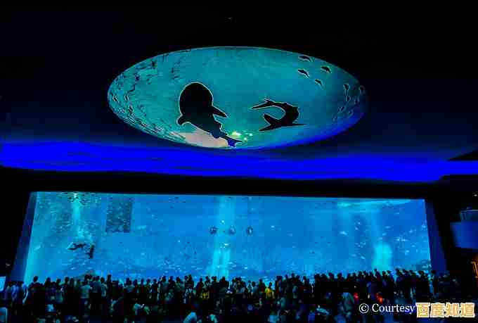 畅游视频海洋，共赴一场精彩纷呈的影视盛宴之旅！
