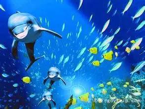 畅游视频海洋，共赴一场精彩纷呈的影视盛宴之旅！