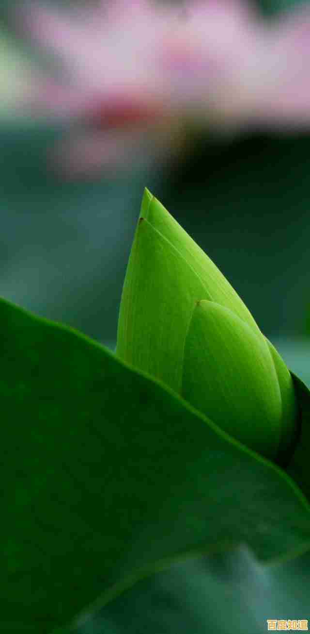 详细教程：华为手机连接电脑的多种实用技巧分享