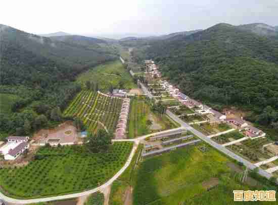 谁不想沉浸在这段诗意旅程中?依依》带你走进视觉小说新篇章! 谁不想沉浸在这段诗意旅程中?依依》带你走进视觉小说新篇章!