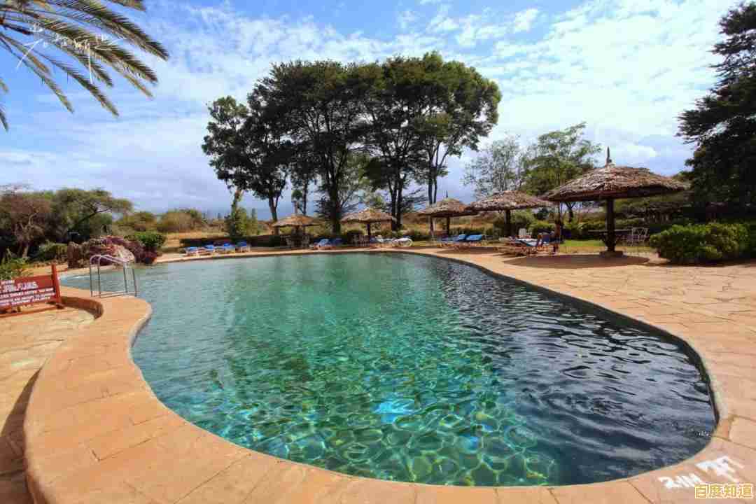 探索Safari安卓版：一步步教你如何快速下载并安装到手机