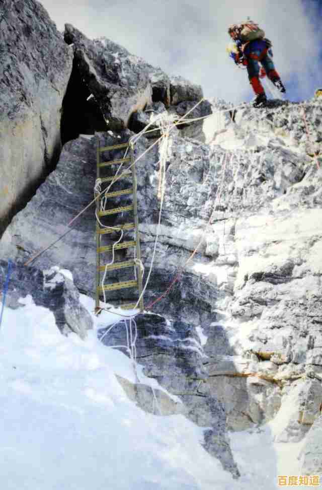 [x天梯图]无畏攀登，征服巅峰，翱翔天际之梦！