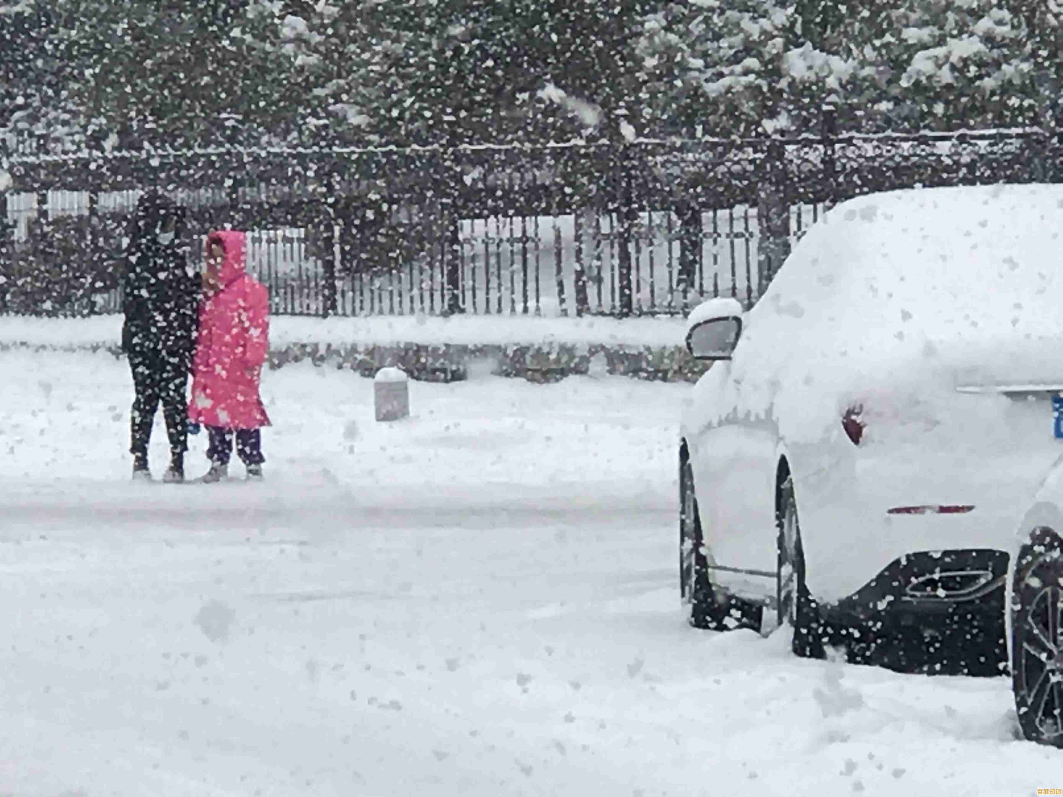 最新版Win11通过迅雷高速下载攻略:详细安装步骤与技巧分享 最新版Win11通过迅雷高速下载攻略:详细安装步骤与技巧分享