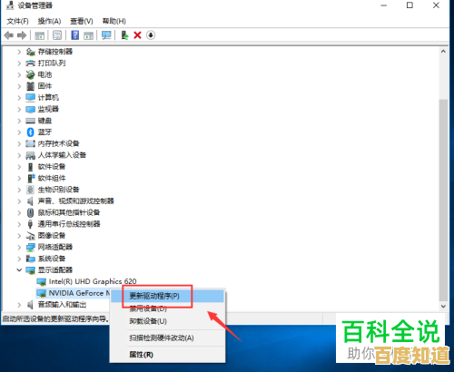 电脑显卡驱动如何正确更新?详细图文教程与常见问题解答 电脑显卡驱动如何正确更新?详细图文教程与常见问题解答
