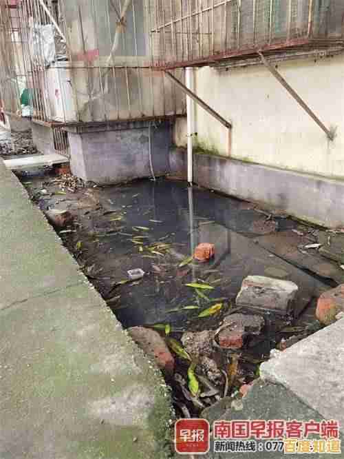 想体验经典的社区互动？冒泡社区旧版》满足你所有游戏需求！