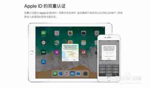 小鱼分享:苹果手机Home键失灵的自查与解决步骤 小鱼分享:苹果手机Home键失灵的自查与解决步骤