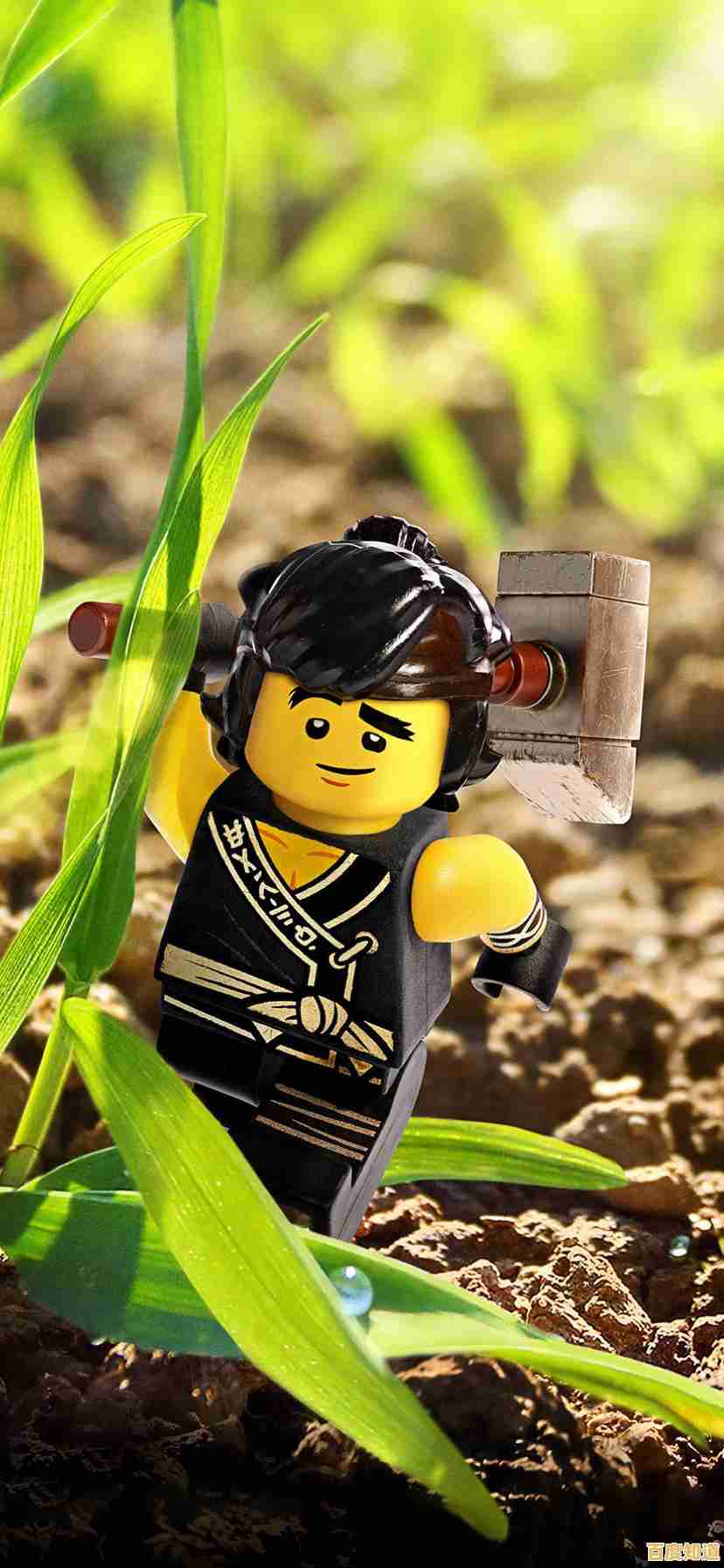 超多玩法+顶尖物理引擎,乐高幻影忍者》不来挑战一下? 超多玩法+顶尖物理引擎,乐高幻影忍者》不来挑战一下?