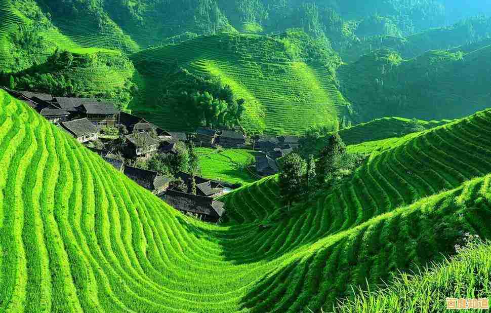 最佳相机选购指南：天梯排名解析各大品牌明星机型，轻松拍出专业级作品！